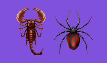 aranha escorpião