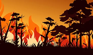 Incêndios Florestais