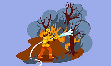 Incêndio Florestal