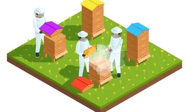 Apicultura