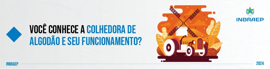 Algodão