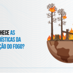 Propagação do Fogo