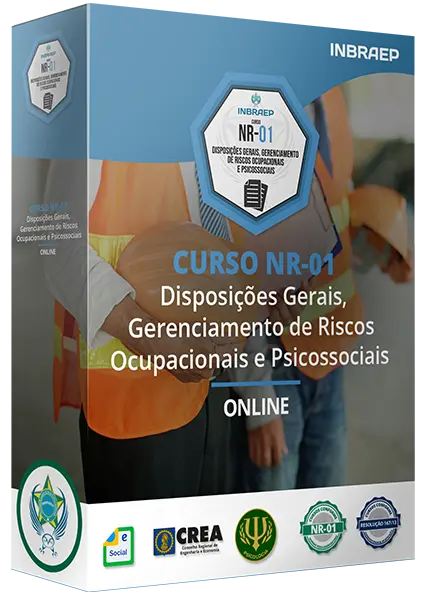 Curso NR-01 Profissional Online