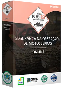 Curso Profissional NR-12